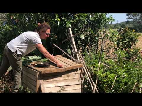 Conseil n°12 -
