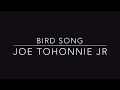 Bird Song - Joe Tohonnie Jr