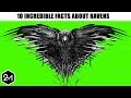 10 Unbelievable Facts That Will Change Your Perception On Ravens