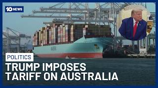 Albanese Government Slams Trump Over New 12.5% Tariff On Australia | 10 News