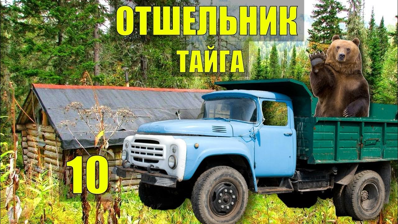 СЛУЧАЙ в ТАЙГЕ МЕДВЕДЬ в ГОРОДЕ ТАЁЖНЫЙ РОМАН ЖИЗНЬ в ТАЙГЕ ИСТОРИИ из ...