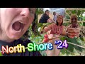 North shore oahu travel vlog 2024 coffee farm food trucks banzai pipeline waimea valley  more