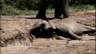 Baby Ellies Mudbath Part 2