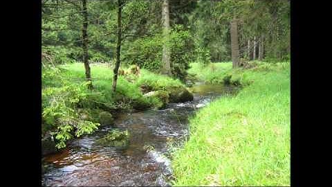 KneToNatoR - For Julia