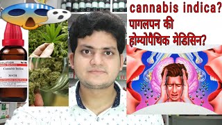 Cannabis indica! Homeopathic medicine Cannabis indica? explain! पागलपन,Memory loss,भ्रम,??