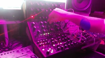House Music Jam   Moog DFAM, Mother32 and Subharmonicon