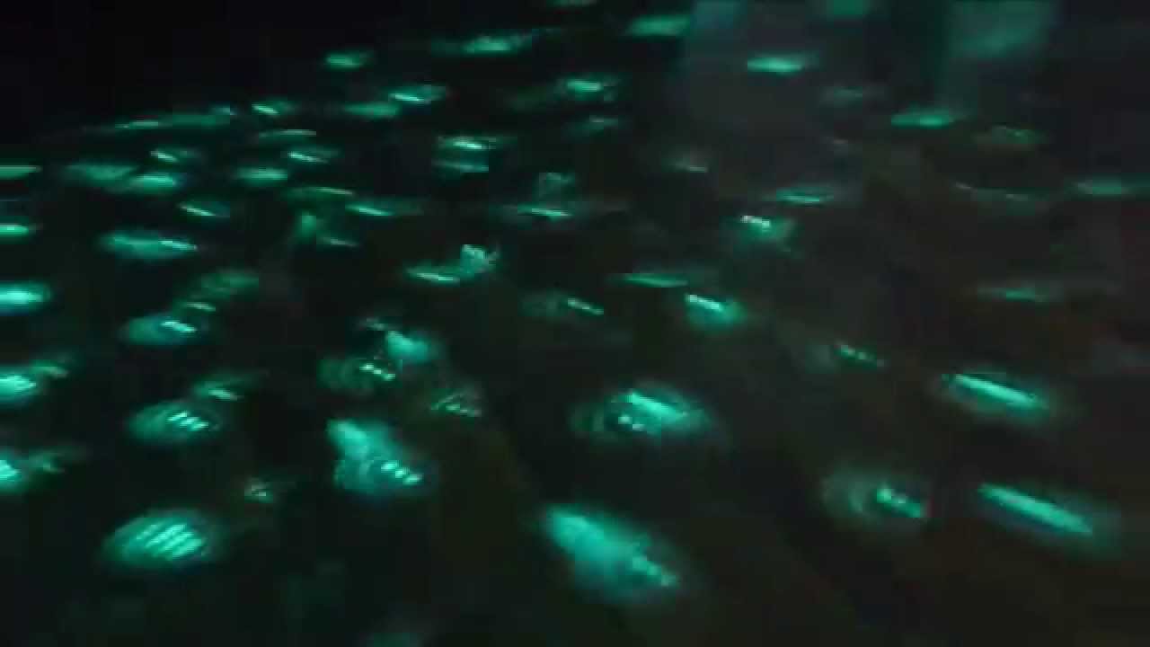 PG LED EFEKT LED 6 EYES 3IN1 RGB 3W