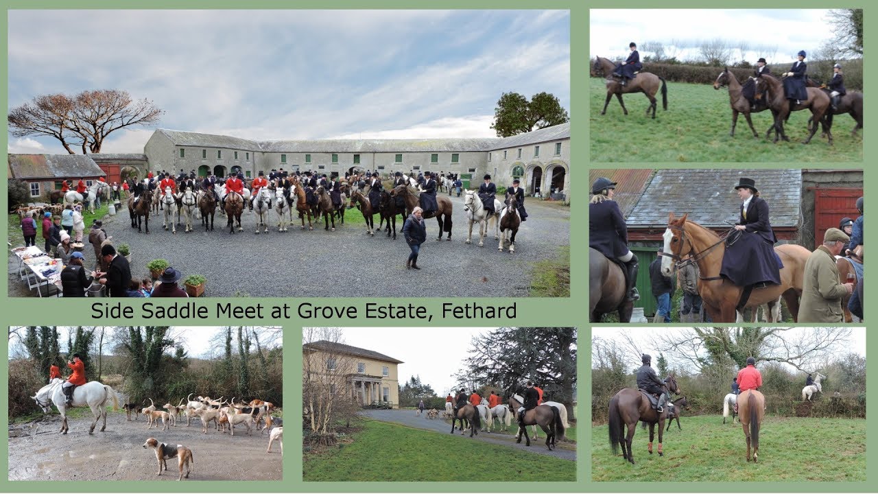 Side Saddle Meet at Fethard