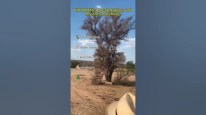 Nature’s Savage Side 🐾🦅 #wildlife #natureisbrutal #animalpower #shorts