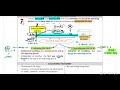 IAS 10 - Revision Lecture (9 Min)