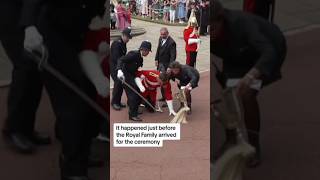 Soldier faints at Windsor Castle#soldier #windsor #shorts