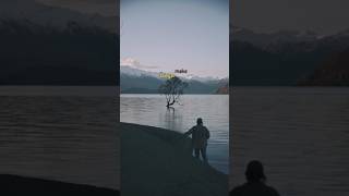 NO FEAR MODE 🖤🔥 | Hard Motivational Phonk | Sigma Grind Edit #shorts