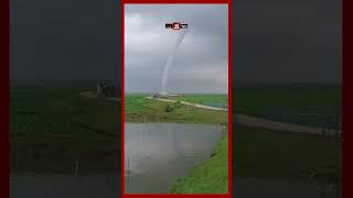 বরহমণবডযয কইজলর বল টরনড