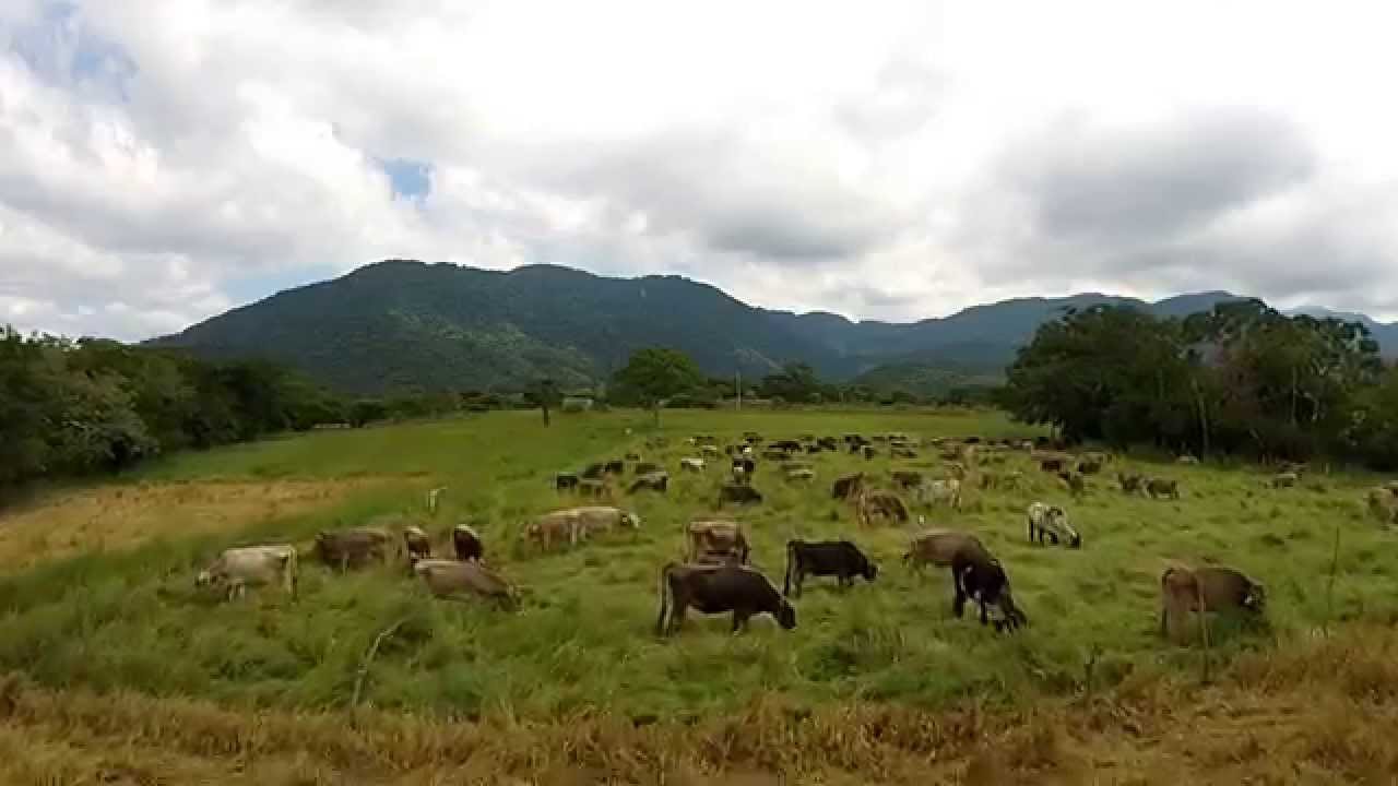 Resultado de imagen para POTREROS