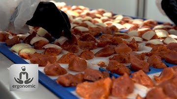 Semi-Automatic Skewer Machine - Presentation video - PINTRO P3000