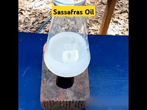 Why Sassafras Oil