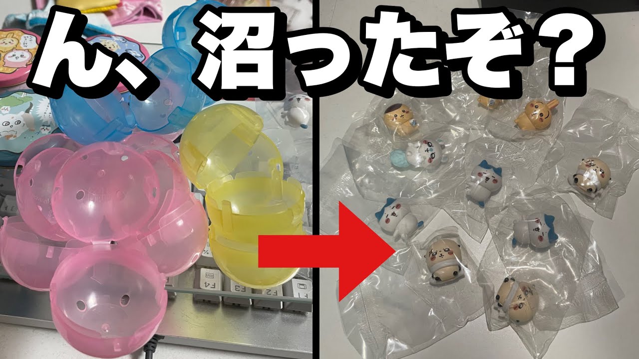 Latest Chiikawa Gacha Gacha♪] Are the capsule colors different