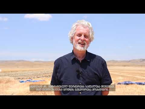 შირაქის სადემონსტრაციო ნაკვეთებზე მარცვლოვანი კულტურების აღება