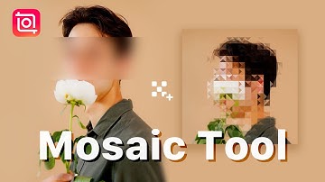 InShot Mosaic Tool with Different Shapes and Styles