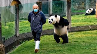 ANIMALES EXAGERADAMENTE DRAMÁTICOS QUE TE HARÁN SONREÍR