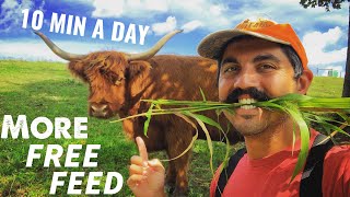 SAVE MONEY AND TIME  ROTATIONAL GRAZING THE EASY WAY