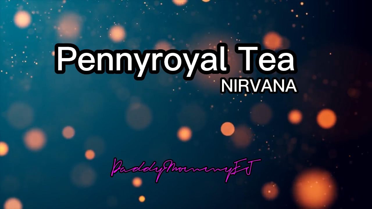 Pennyroyal Tea (NIRVANA) Chord and lyrics NO VOCALS YouTube
