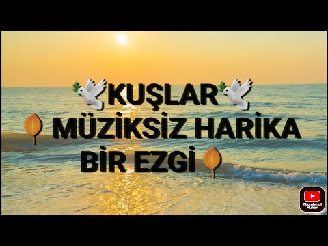 🕊Kuşlar🕊/Müziksiz Ezgi/ İLAHİ FASLI/