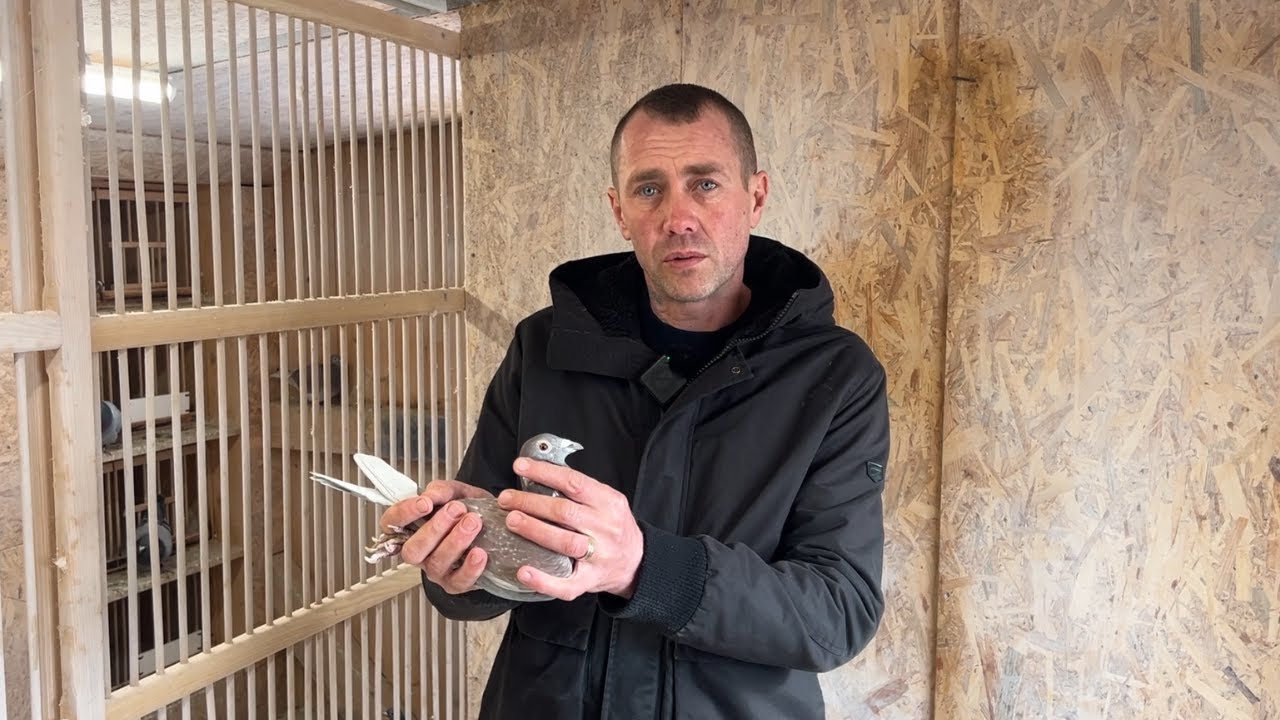 Prelipcean Ciprian - Triplu Campion National 2024