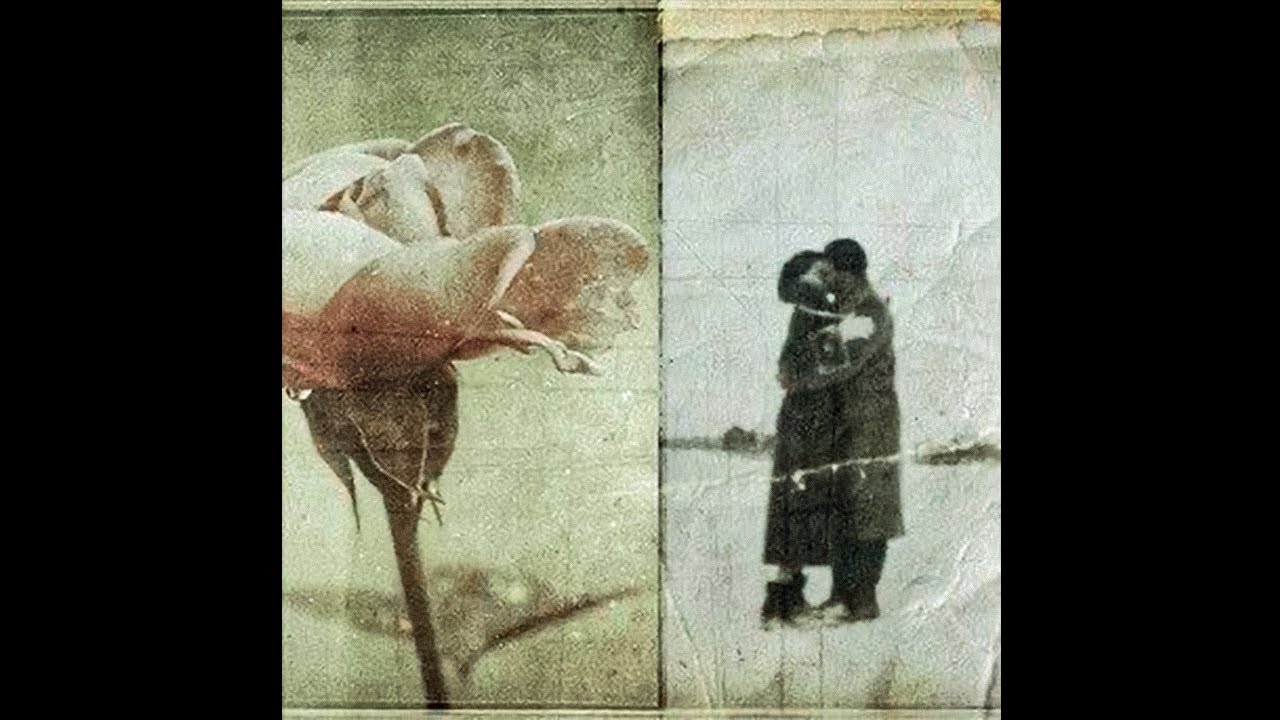 [free] bon iver / sampha / indie folk type beat ~ "alaska"