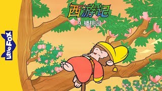 Journey to the West 9: The Peach Garden (西游记 9：蟠桃园) | Classics | Chinese | By Little Fox