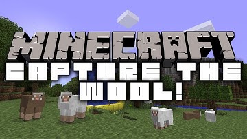 Minecraft: CAPTURE THE WOOL! w/BajanCanadian, Nooch, Xrpmx13, & Pete! (Game 3)