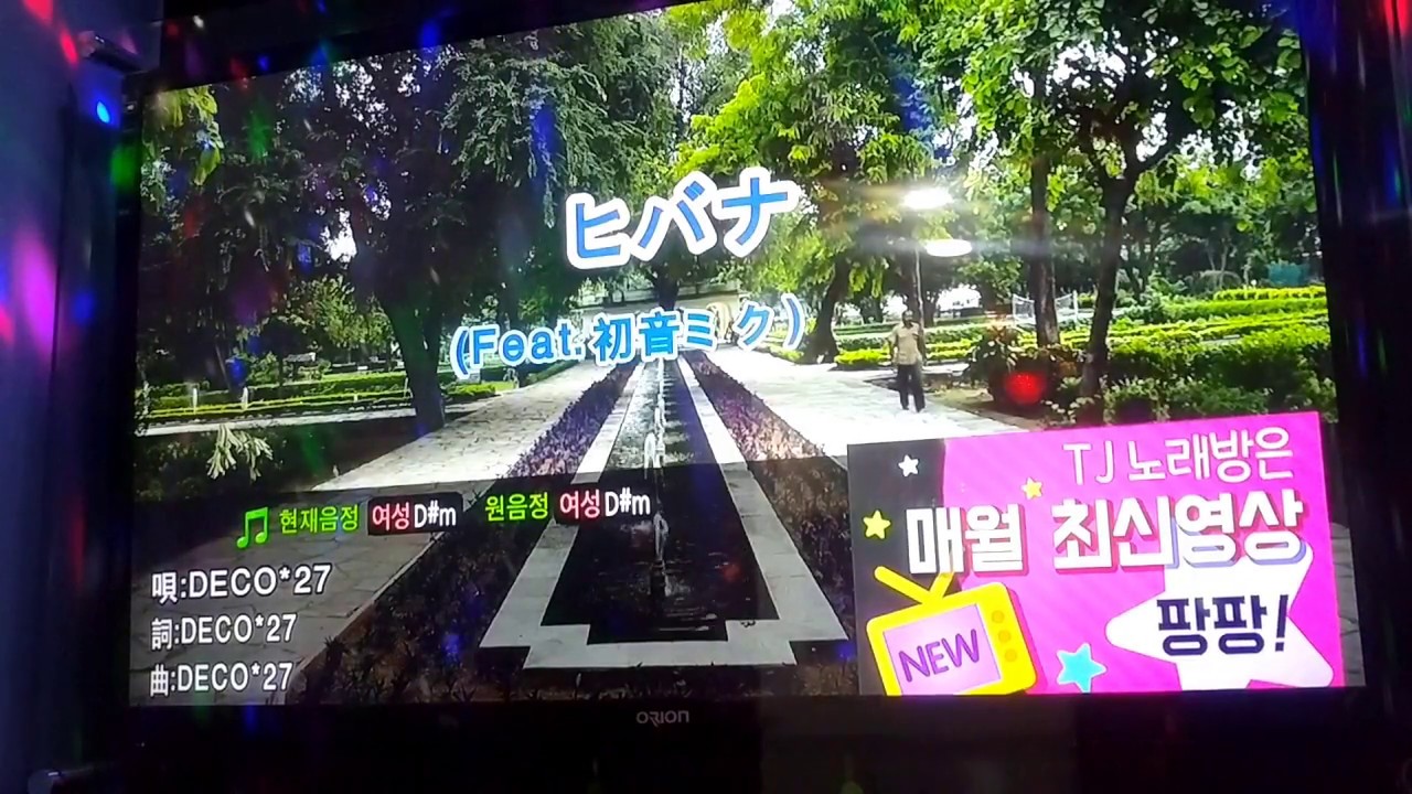 [NEXUZU]불꽃(히바나ヒバナ)를 노래방에서 불러보았다