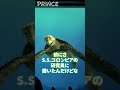 【知ってた？】亀の甲羅は何でできてるの？【ディズニー】 #shorts