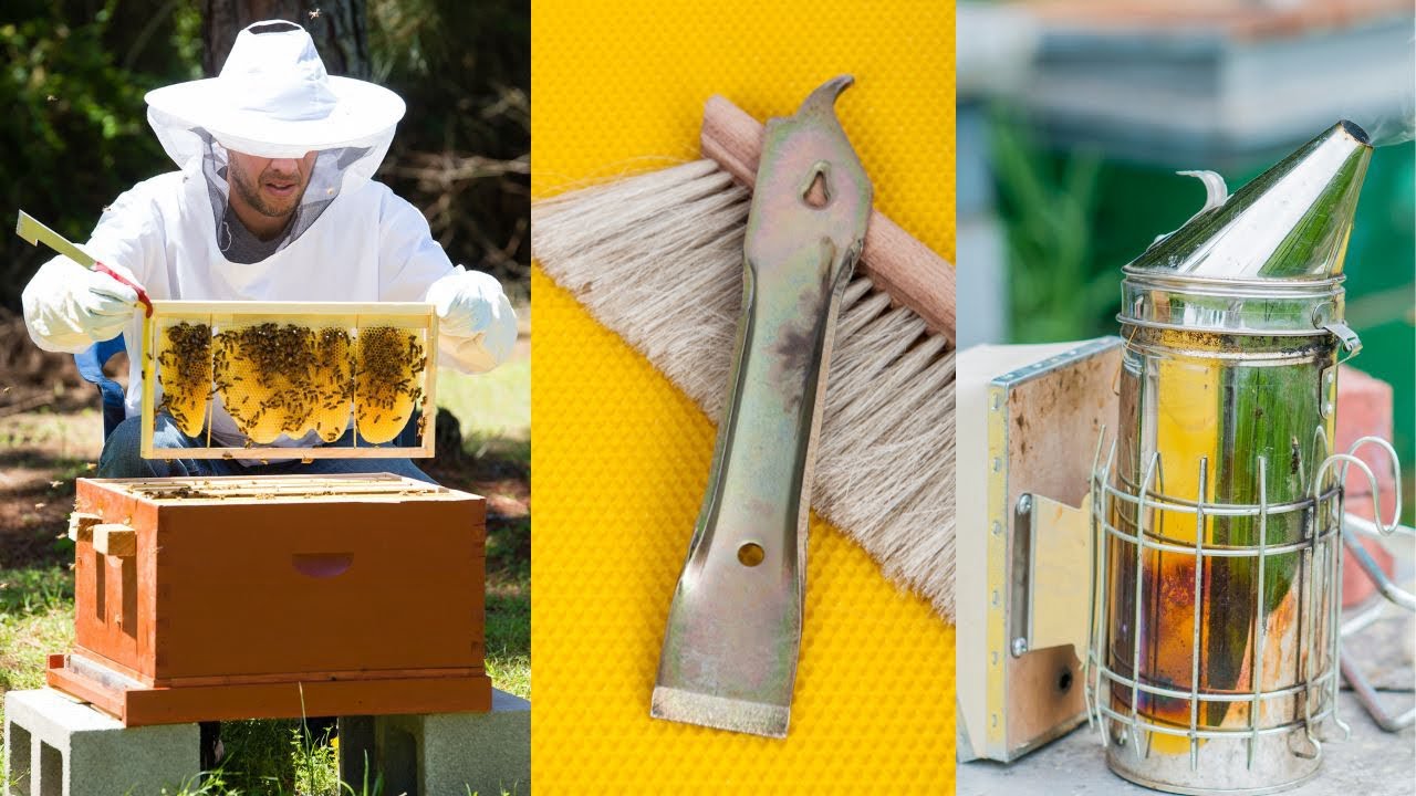 Beekeeping Equipment | A List Of Essential Beekeeping Equipment And Tools - How To Use Them