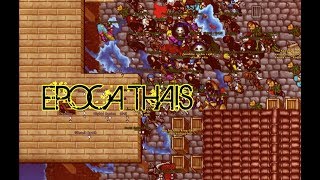 Tibia Epoca Thais action [60FPS]