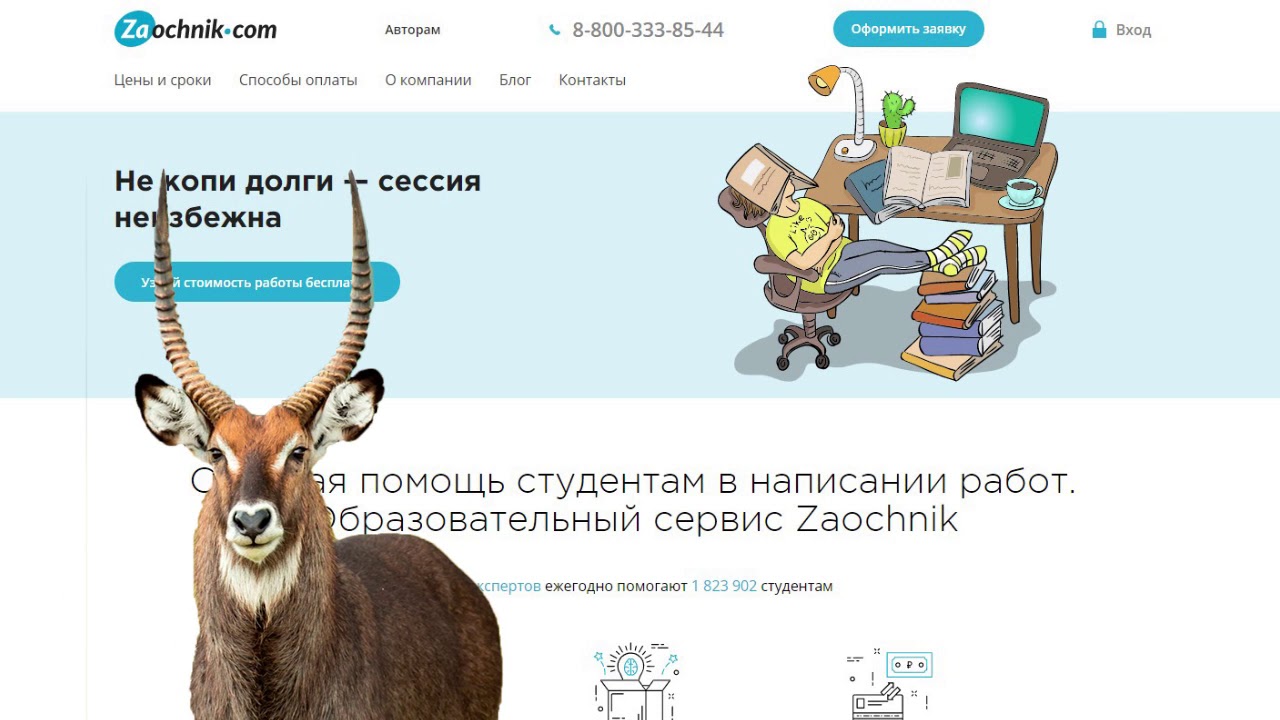 Заочник войти. Заочник. Zaochnik.com. Заочник ру. Заочник вход.