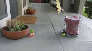 UCR CS 122A Fall 2016 -- Joel Gomez -- Growbot