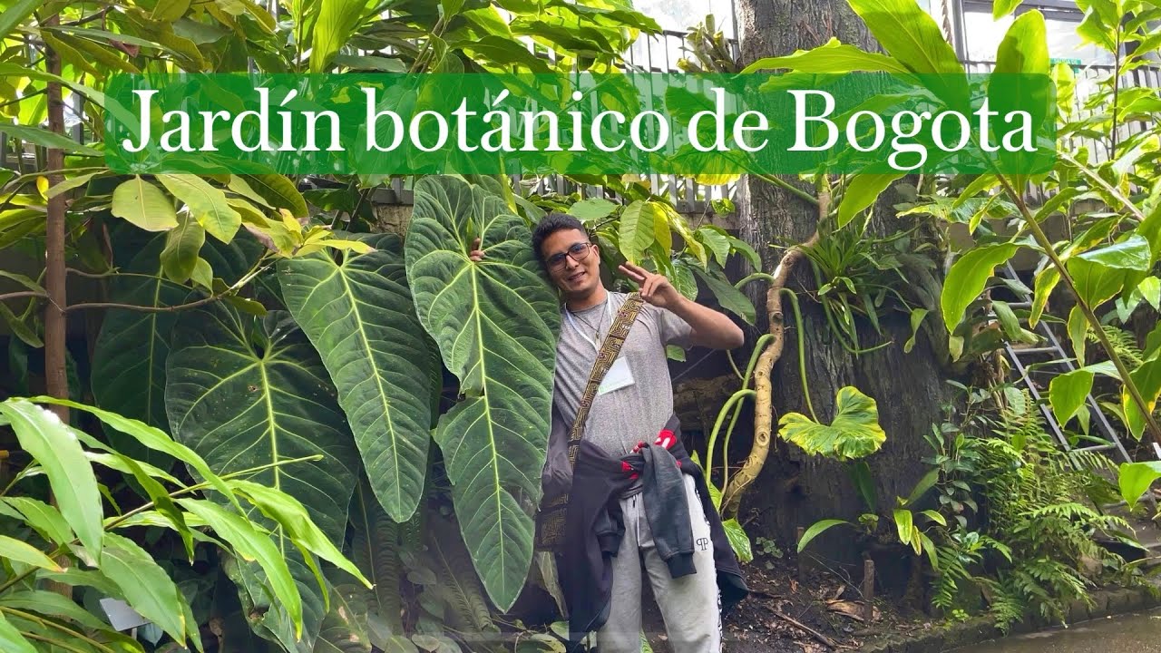 JARDÍN BOTÁNICO BOGOTÁ COLOMBIA