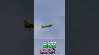 Brothers Chase Perfect Flight in Vintage Airplanes. It's Yellow Thunder at Seafair Festival '26!
