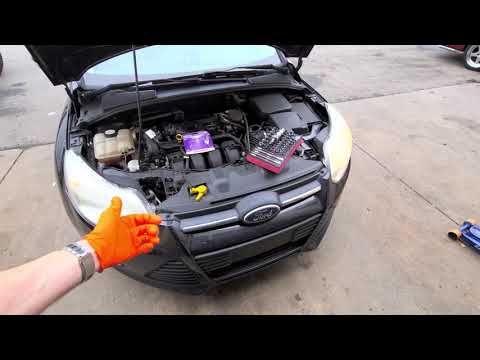 2013 Ford Focus Headlight Bulb Replacement