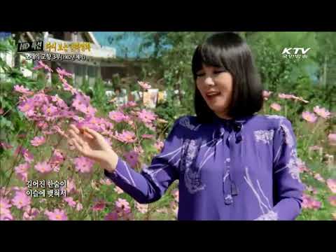 추억의 가수 82년 젊은 시절 김상희의 '코스모스 피어있는 길'   복사본