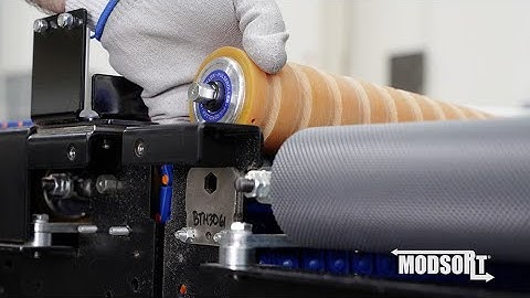 Roller Top Drive Roller Replacement on the System Plast® Modsort® Transfer and Divert Module