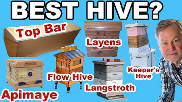 Beekeeping: What Are The Pros & Cons To Different Hives?
