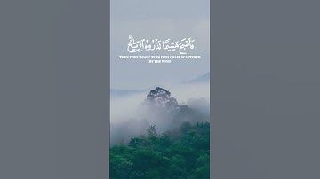 سورة الكهف الآية 45 بصوت الشيخ  محمد الفقيه