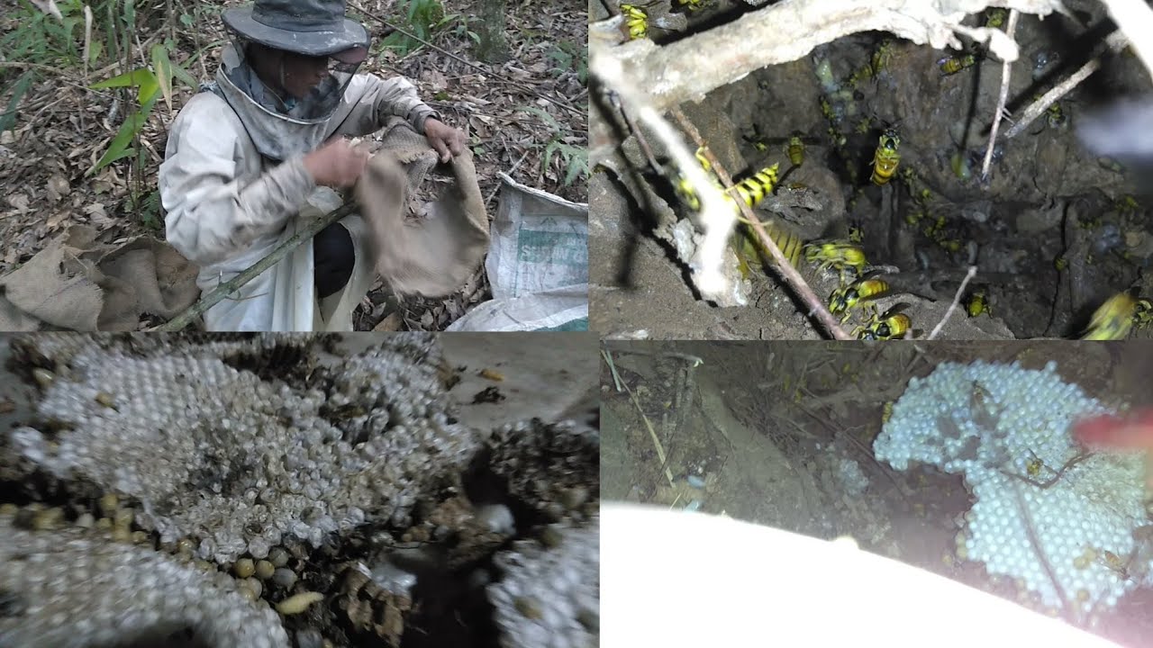 Khawidang bu lak pui keih keih tak a ni