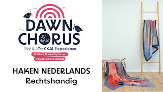 Dawn Chorus Haken Bullfinch Deken - Nederlands - Rechtshandig - Scheepjes CKAL Experience
Deel van de Scheepjes Pick and Mix CKAL Experience
Gratis patroon www.scheepjes.nl
Extra ondersteuning:
https://www.facebook.com/groups/scheepjescal
Nat opspannen van een deken:
https://www.youtube.com/watch?v=K5HhqQdicIY
Opspannen en spuiten van een deken:
https://www.youtube.com/watch?v=p_bhXuI8FCM
Linkshandige video:
https://youtu.be/0l6GlRclTbM
Ga naar de toer dat je nodig hebt:
0:00 Introductie
1:29 Vierkant 1 Rij 1
6:34 Vierkant 1 Rij 2
11:07 Vierkant 1 Rijk 3-24
14:53 Vierkant 1 Rij 25
16:17 Vierkant 2 Rij 0
22:36 Vierkant 2 Rij 1
24:48 Vierkant 2 Rij 2
27:23 Vierkant 2 Rij 3-24
28:29 Vierkant 2 Rij 25
29:35 Vierkant 3 Rij 0
34:15 Vierkant 3 Rij 1
36:25 Vierkant 3 Rij 2
38:23 Vierkant 3 Rij 3-24
39:02 Vierkant 3 Rij 25
40:08 Vierkant 4
41:31 Vierkant 5 Rij 0
47:21 Vierkant 5 Rij 1
49:24 Vierkant 5 Rij 2
51:28 Vierkant 5 Rij 3-24
52:12 Vierkant 5 Rij 25
53:00 Vierkant 6
53:29 Vierkant 7-117
55:19 Rand Toer 0
1:02:09 Rand Toer 1
1:07:16 Rand Toer 2-14
1:10:14 Draadjes
1:12:32 Opspannen
Follow me on my blog
https://itsallinanutshell.com/
Follow me on Facebook
https://www.facebook.com/itsallinanutshell/
Follow me on Instagram
https://www.instagram.com/itsallinanutshell/
Copyright © 2024 by Its all in a Nutshell.
All rights reserved. This video or any portion thereof may not be copied, reproduced or distributed in part or in whole or used in any manner whatsoever without the express written permission of the owner. Sharing this video on social media is allowed as long as the creator and owner is credited. This video is for personal use only and may not be sold. Dawn Chorus Haken Bullfinch Deken - Nederlands - Rechtshandig - Scheepjes CKAL Experience