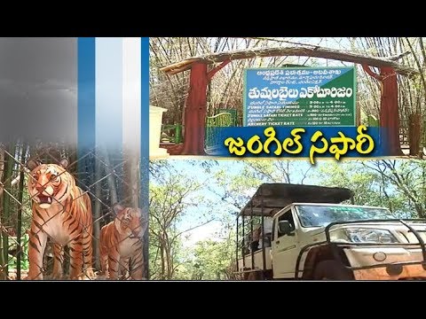 jungle safari srisailam