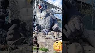 PINAKAMALAKING MONKEY SA PILIPINAS 🐒 #shortvideo#viral#monkey