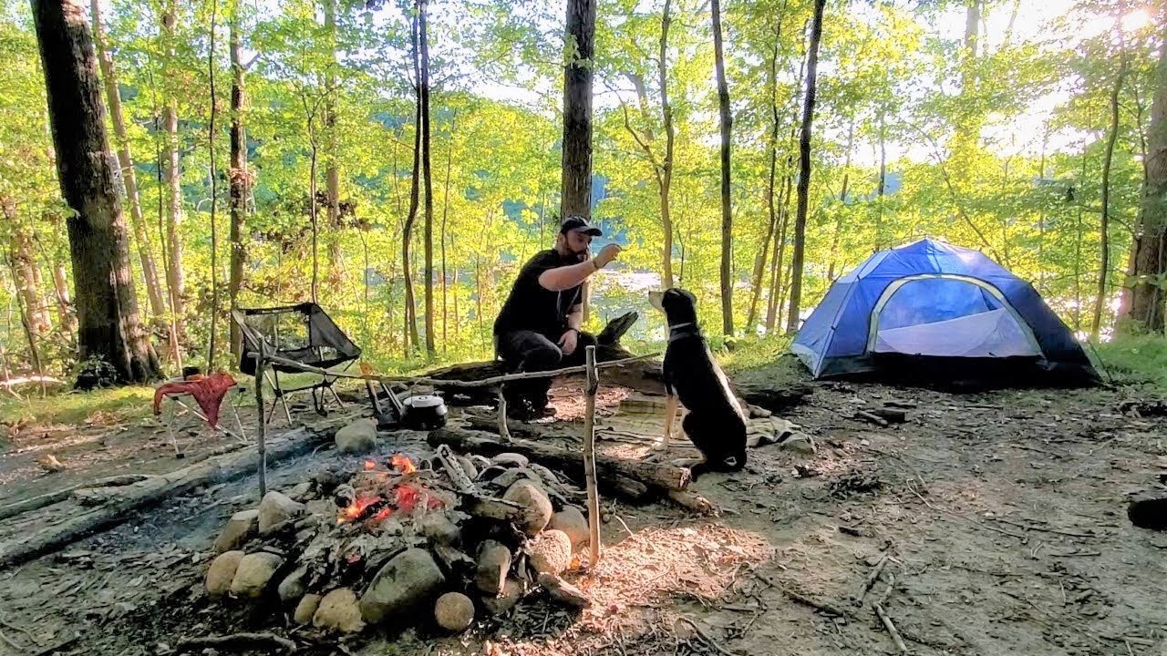 Backcountry Camping with my dog | Lake | Bushcraft Pothanger | Solo Overnight | Campfire Cooking