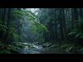Goodbye Insomnia To Deep Sleep With Rain Sounds On Forest Stream | Relax Deeply &amp; Melt Stress